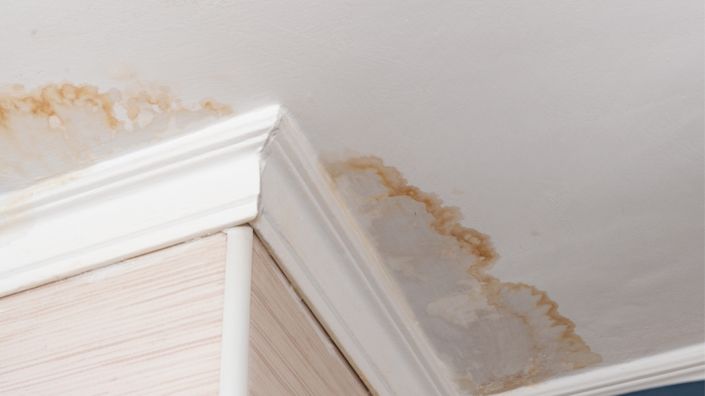 Preventing Water Damage Tips for Middletown, PA Homeowners