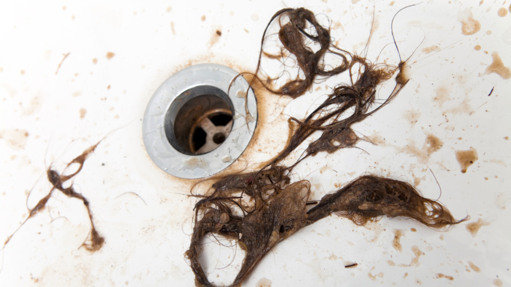 Effective Ways to Get Hair Out of Your Shower Drain and Prevent Clogs Murray Plumbing Inc.