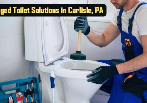Fixing Clogged Toilets: Our Project in Carlisle, PA