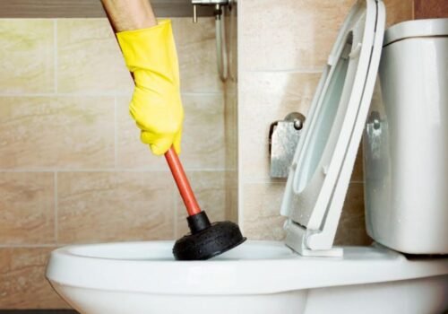 Fixing Clogged Toilets: Our Project in Carlisle, PA