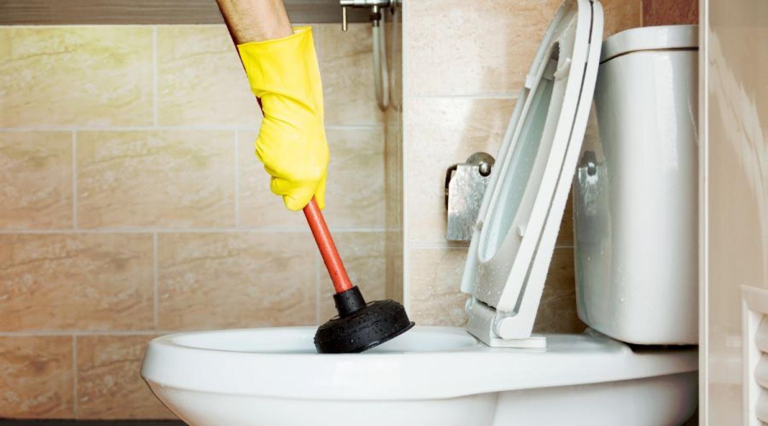 Fixing Clogged Toilets: Our Project in Carlisle, PA