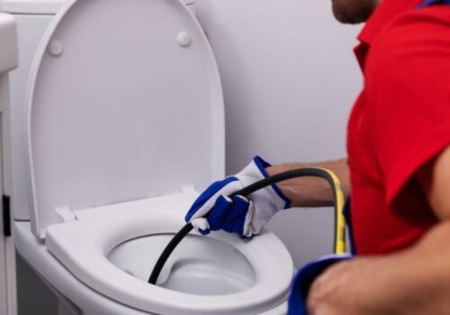 Fixing Clogged Toilets: Our Project in Carlisle, PA