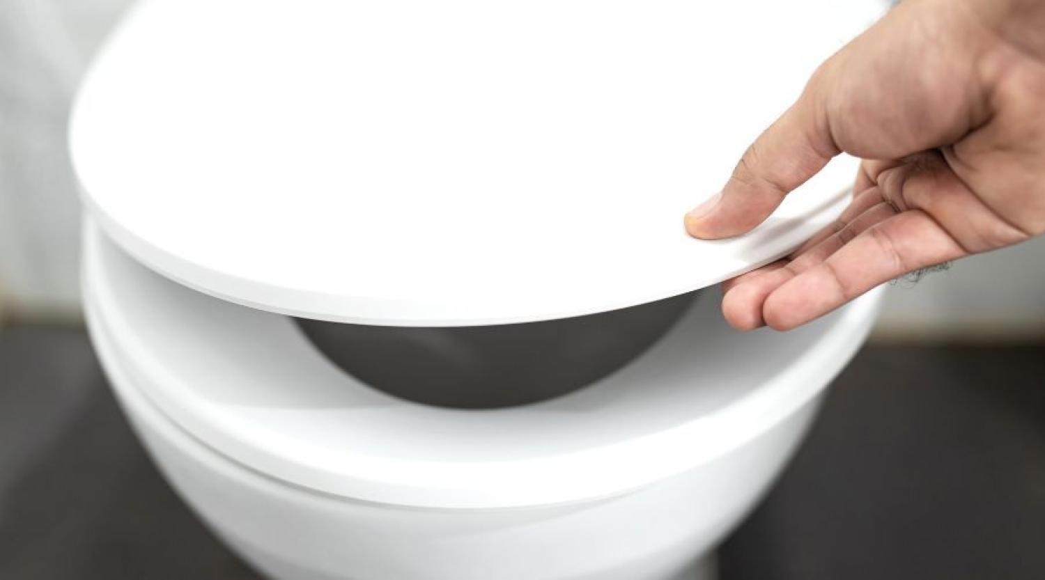 Fixing Toilets in Carlisle, PA: Our Recent Project
