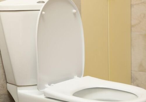 Fixing Toilets in Carlisle, PA: Our Recent Project