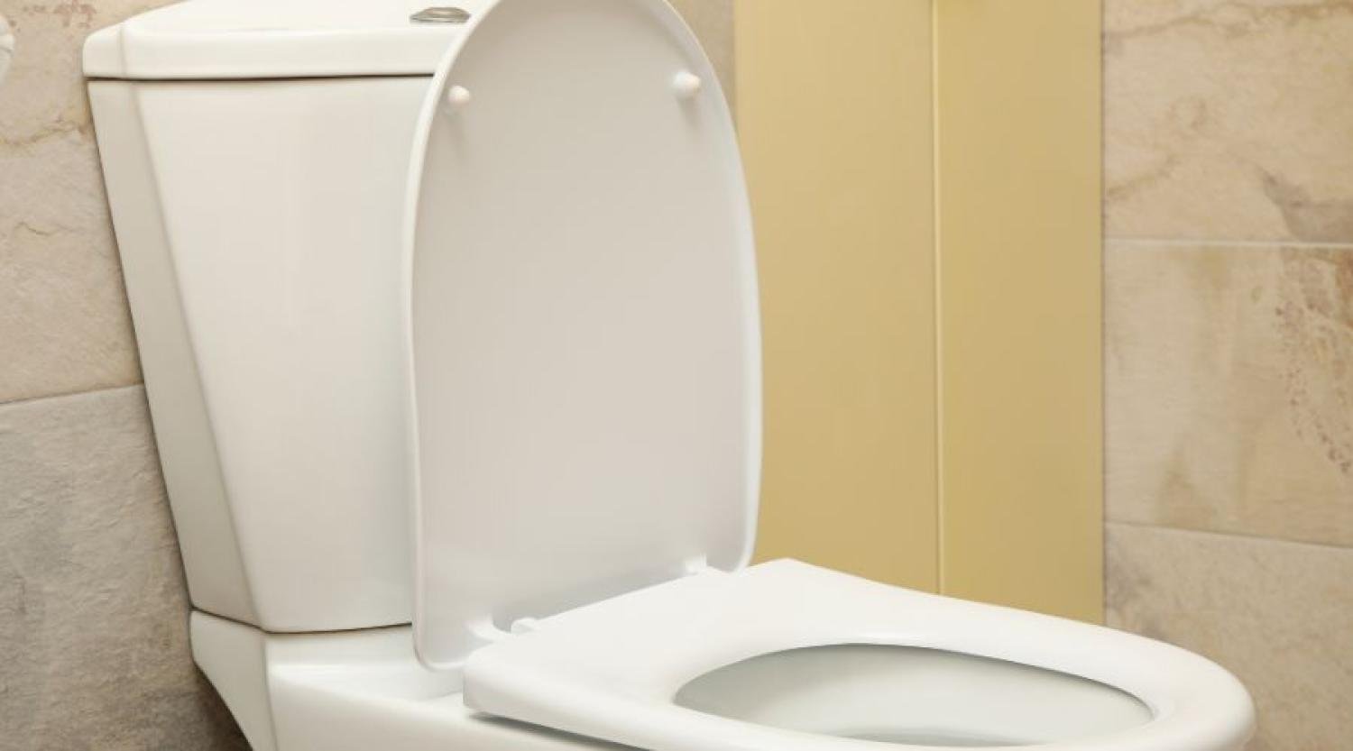 Fixing Toilets in Carlisle, PA: Our Recent Project